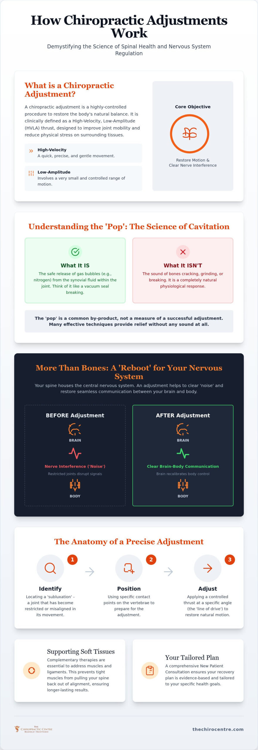 How Chiropractic Adjustments Work: The Clinical Science of Spinal Alignment